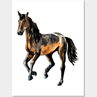 horse Posters and Art